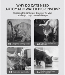 1.5L Automatic Pet Water Fountain - Quiet USB-Powered Circulating Water Dispenser for Cats & Dogs